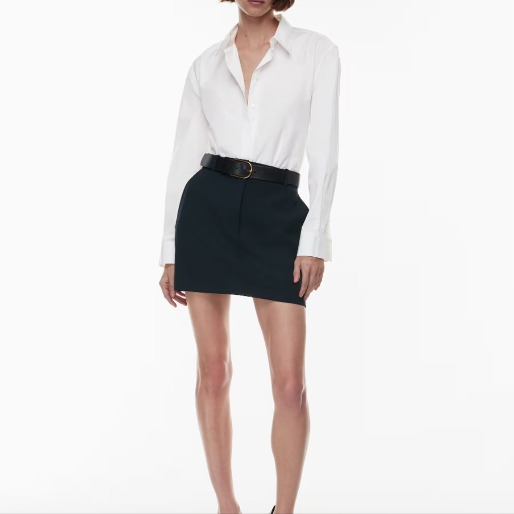 Aritzia Dark Blue Mini Skirt